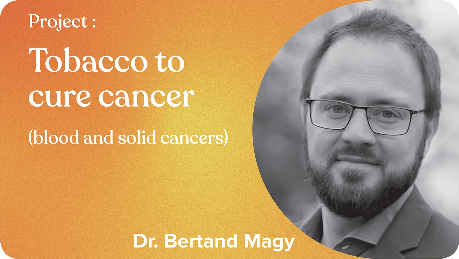 tobacco cure cancer Tobacco to cure cancer
